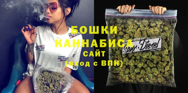 прущий лед Инсар