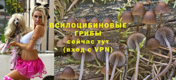 прущая мука Инта